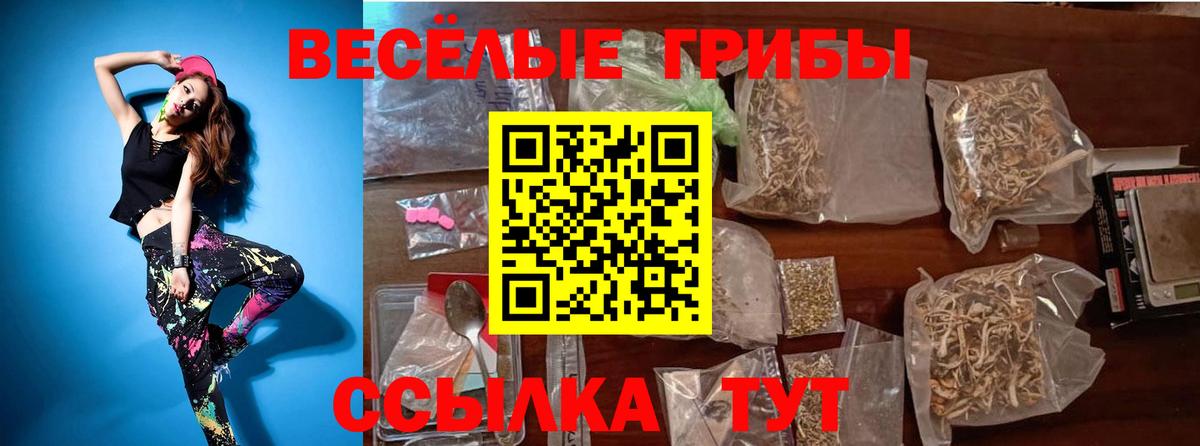 Псилоцибиновые грибы Psilocybine cubensis Мончегорск