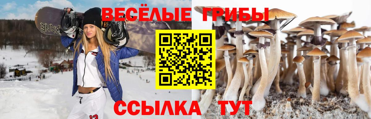 Мончегорск  Псилоцибиновые грибы Magic Shrooms  Вход с VPN 