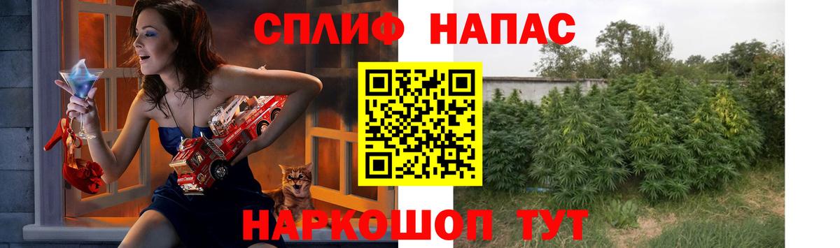 Каннабис MAZAR Мончегорск